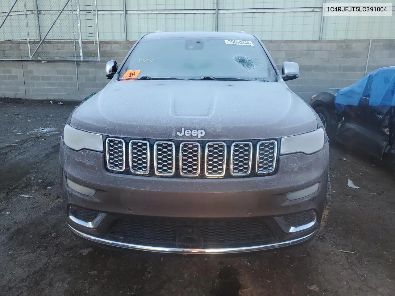 2020 Jeep Grand Cherokee Summit VIN: 1C4RJFJT5LC391004 Lot: 79650344