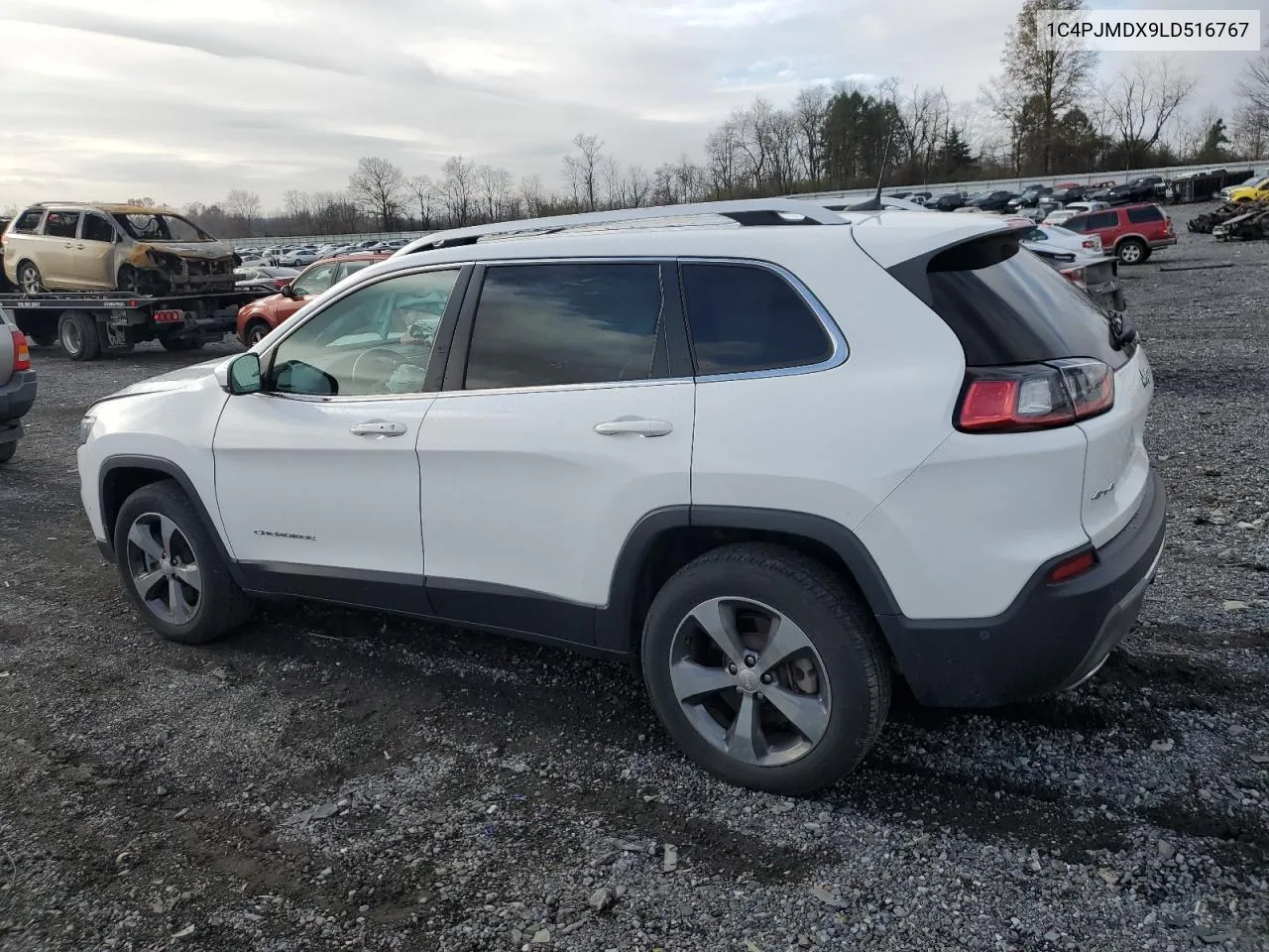 2020 Jeep Cherokee Limited VIN: 1C4PJMDX9LD516767 Lot: 80722994