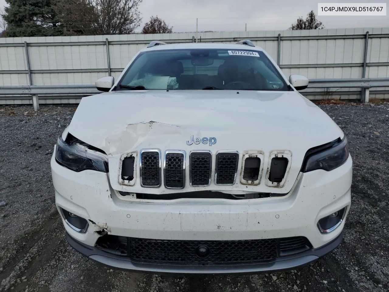 2020 Jeep Cherokee Limited VIN: 1C4PJMDX9LD516767 Lot: 80722994