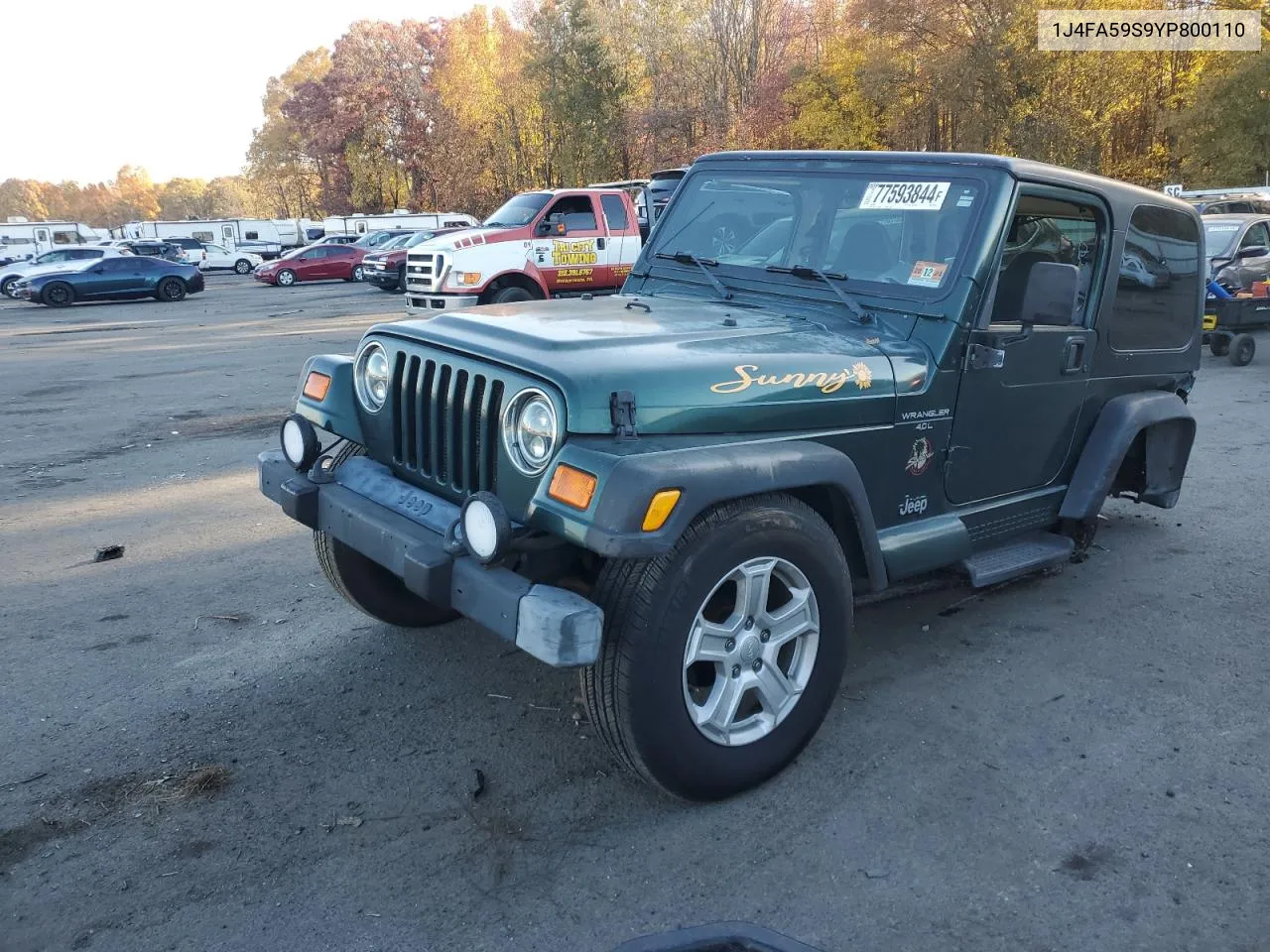 2000 Jeep Wrangler / Tj Sahara VIN: 1J4FA59S9YP800110 Lot: 77593844