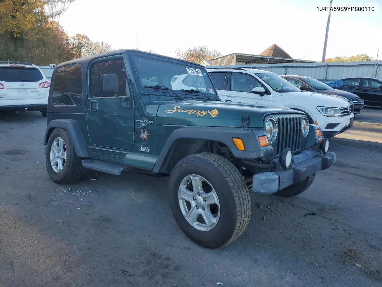 2000 Jeep Wrangler / Tj Sahara VIN: 1J4FA59S9YP800110 Lot: 77593844