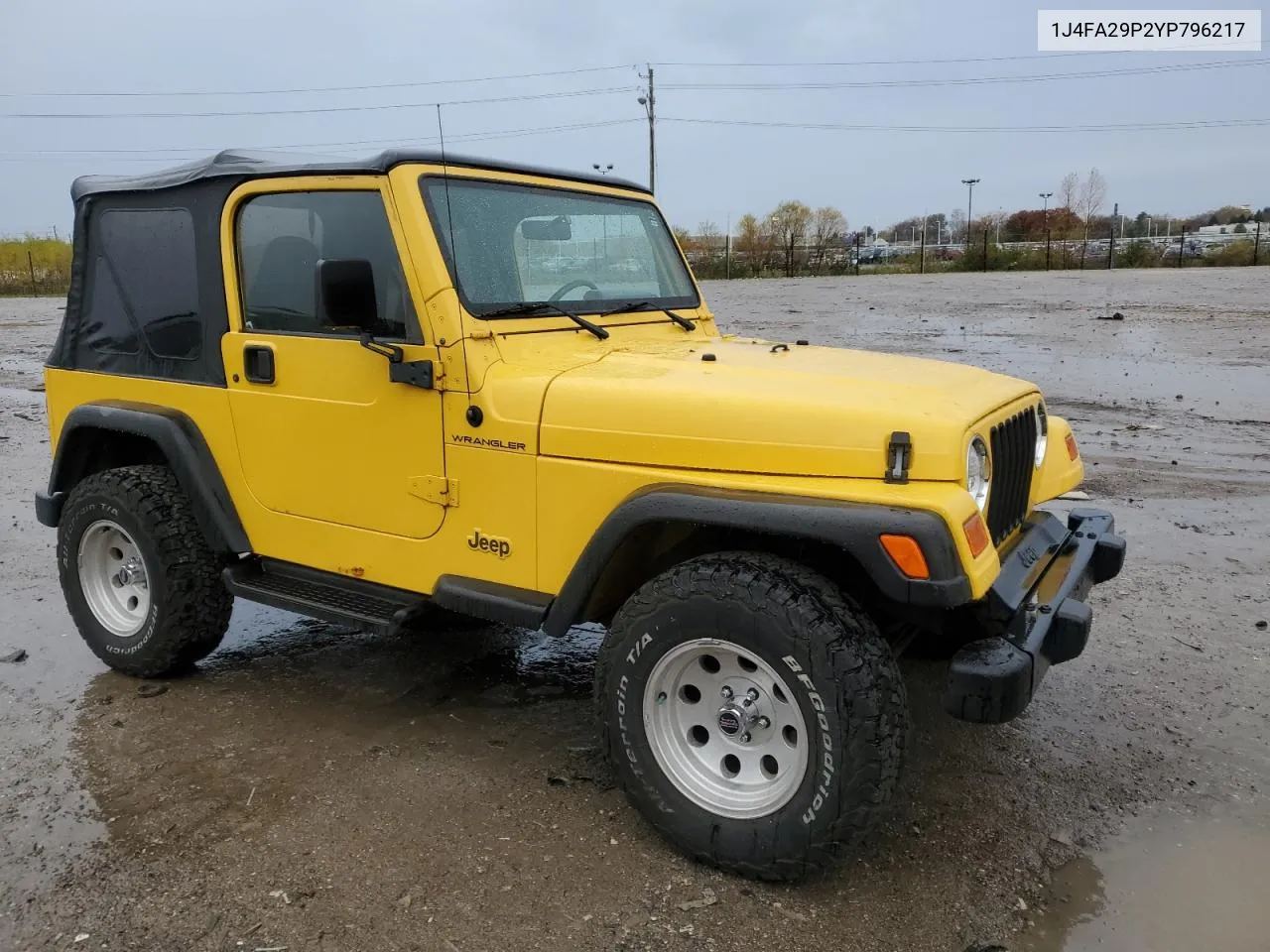 2000 Jeep Wrangler / Tj Se VIN: 1J4FA29P2YP796217 Lot: 79247944