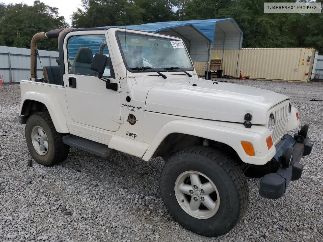 2001 Jeep Wrangler / Tj Sahara VIN: 1J4FA59SX1P309972 Lot: 72190874