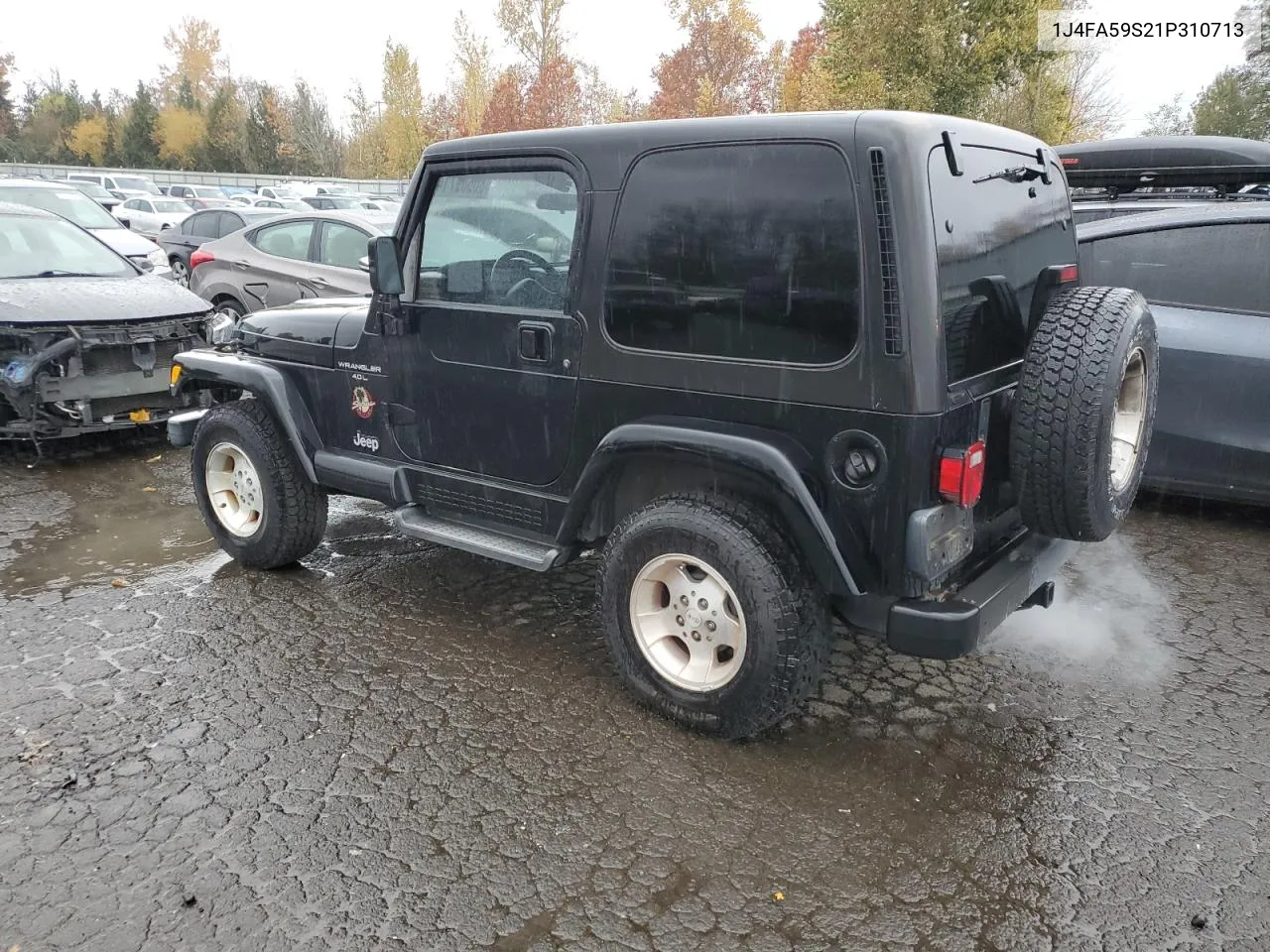 2001 Jeep Wrangler / Tj Sahara VIN: 1J4FA59S21P310713 Lot: 80509714