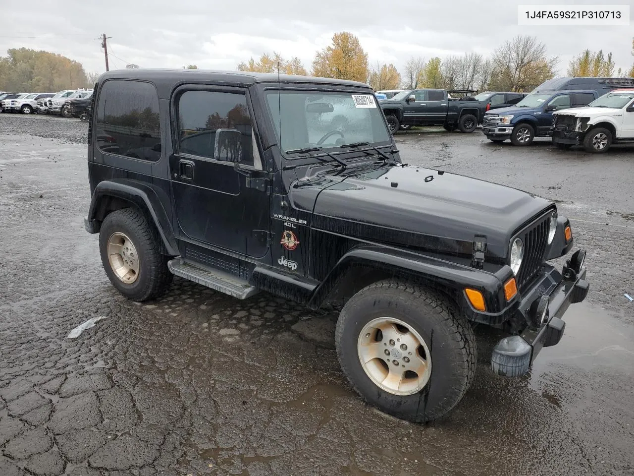 2001 Jeep Wrangler / Tj Sahara VIN: 1J4FA59S21P310713 Lot: 80509714