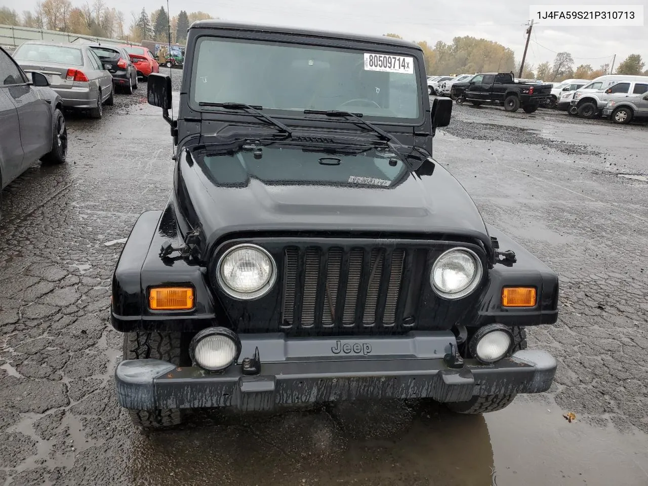 2001 Jeep Wrangler / Tj Sahara VIN: 1J4FA59S21P310713 Lot: 80509714