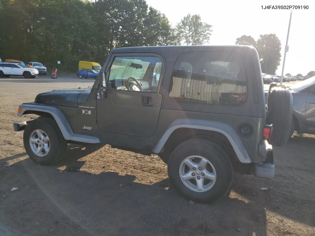 2002 Jeep Wrangler / Tj X VIN: 1J4FA39S02P709190 Lot: 71780964