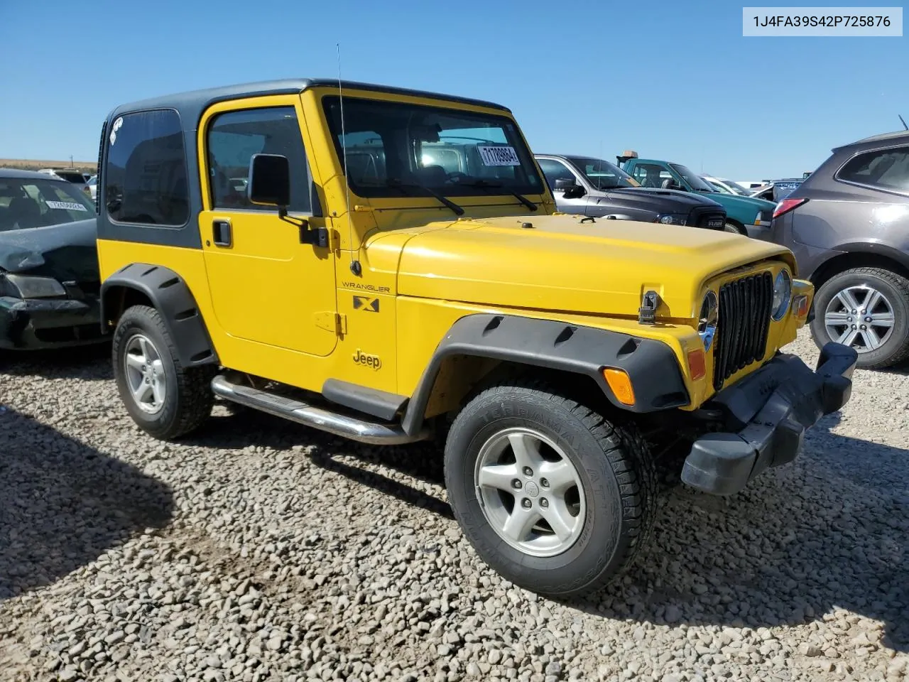 2002 Jeep Wrangler / Tj X VIN: 1J4FA39S42P725876 Lot: 71789864