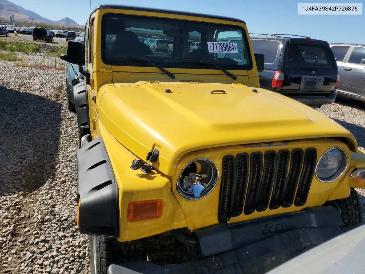 2002 Jeep Wrangler / Tj X VIN: 1J4FA39S42P725876 Lot: 71789864