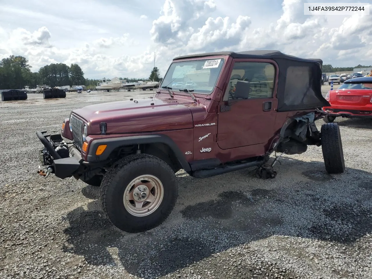 2002 Jeep Wrangler / Tj X VIN: 1J4FA39S42P772244 Lot: 72853314