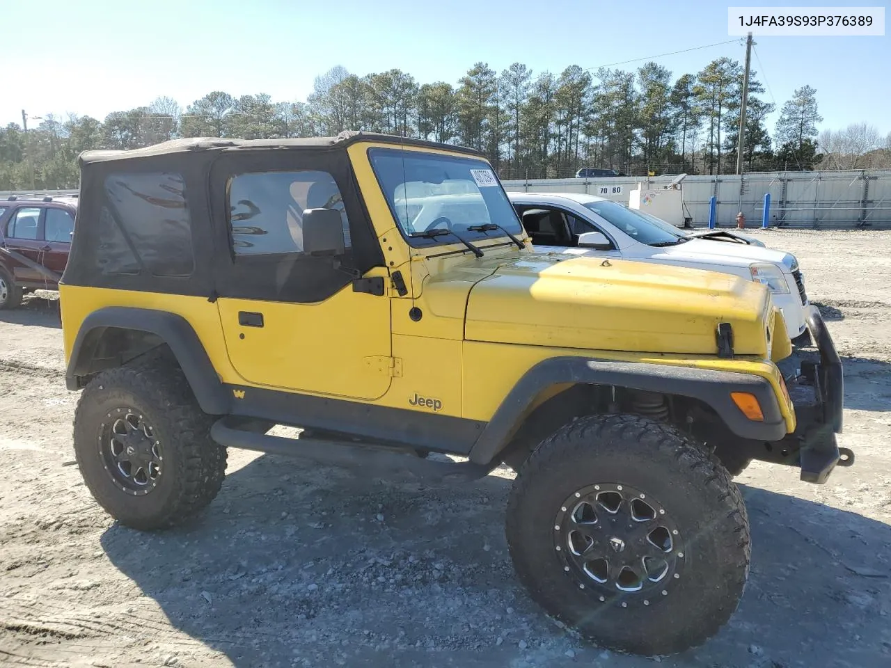 2003 Jeep Wrangler Commando VIN: 1J4FA39S93P376389 Lot: 40870594