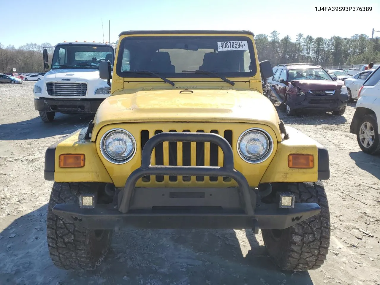 2003 Jeep Wrangler Commando VIN: 1J4FA39S93P376389 Lot: 40870594