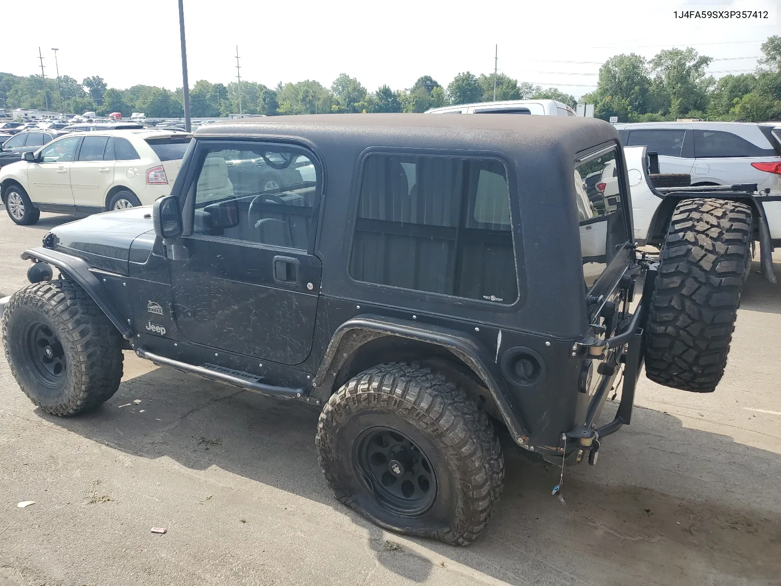 2003 Jeep Wrangler / Tj Sahara VIN: 1J4FA59SX3P357412 Lot: 65447234