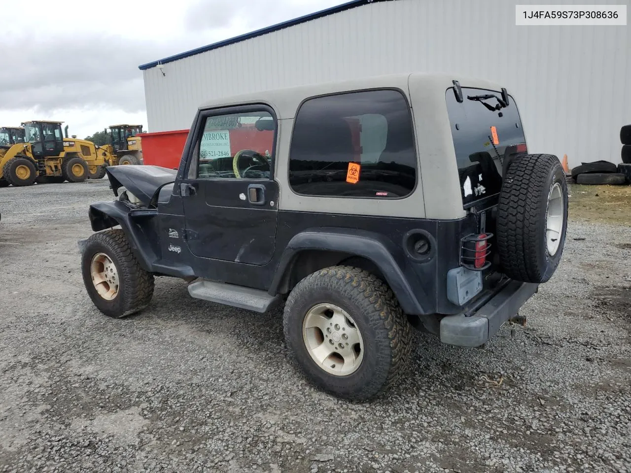 2003 Jeep Wrangler / Tj Sahara VIN: 1J4FA59S73P308636 Lot: 66142934