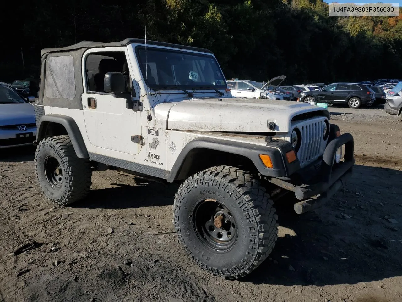 2003 Jeep Wrangler Commando VIN: 1J4FA39S03P356080 Lot: 75699194