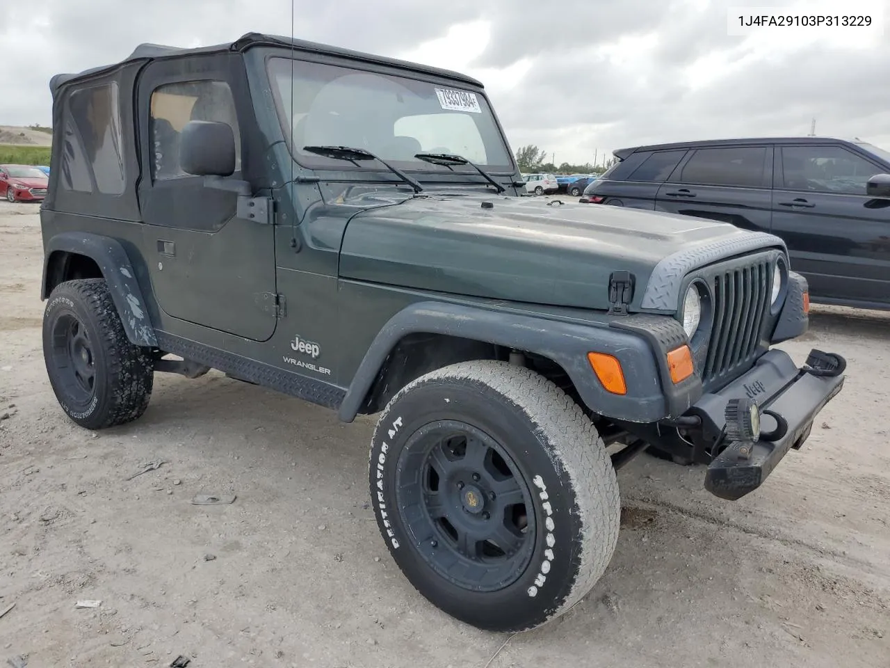 2003 Jeep Wrangler / Tj Se VIN: 1J4FA29103P313229 Lot: 79337984