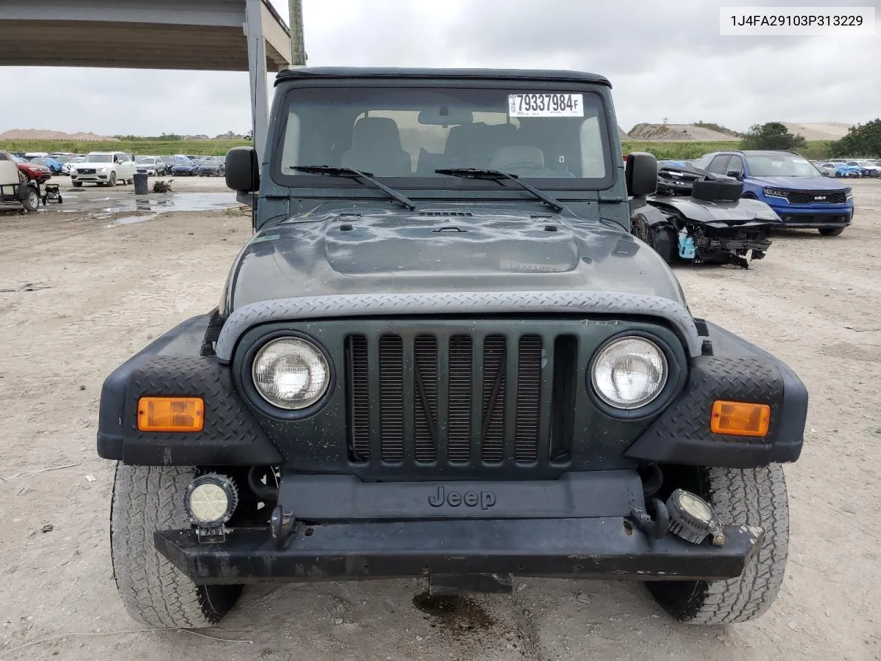 2003 Jeep Wrangler / Tj Se VIN: 1J4FA29103P313229 Lot: 79337984