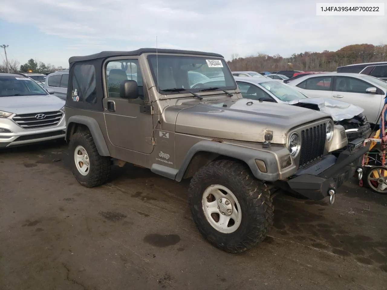 2004 Jeep Wrangler X VIN: 1J4FA39S44P700222 Lot: 78453444