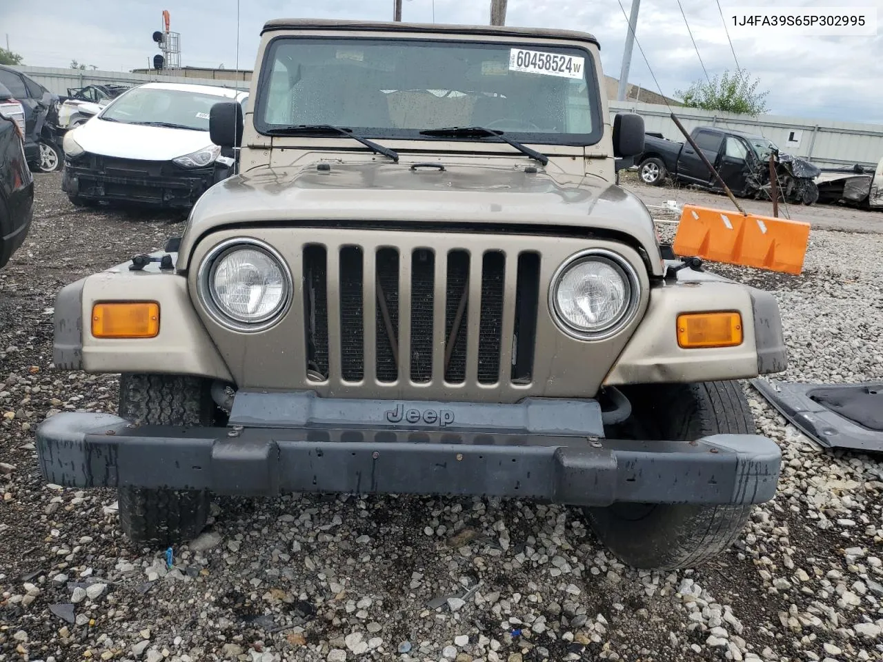 2005 Jeep Wrangler X VIN: 1J4FA39S65P302995 Lot: 60458524