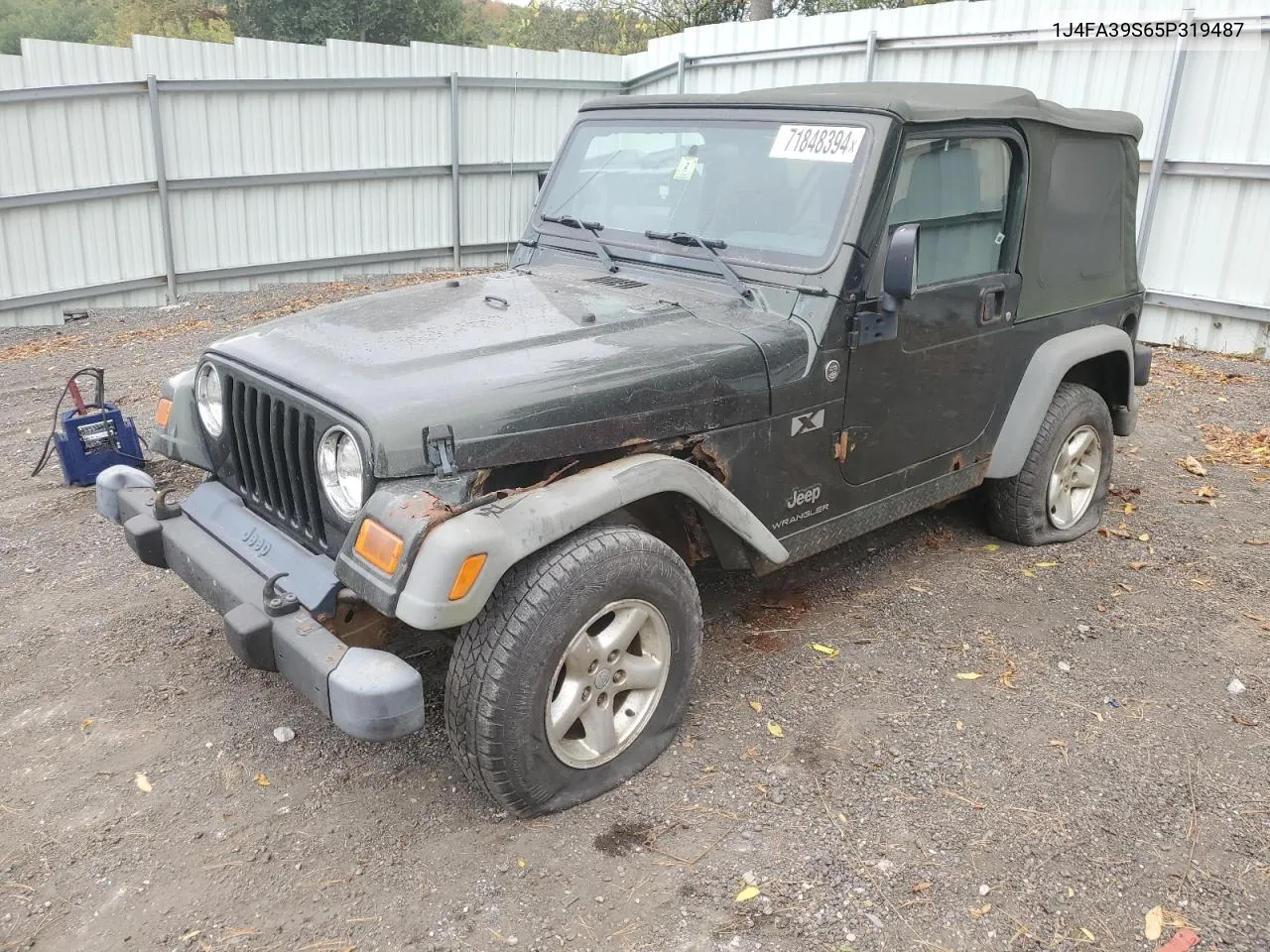 2005 Jeep Wrangler X VIN: 1J4FA39S65P319487 Lot: 71848394