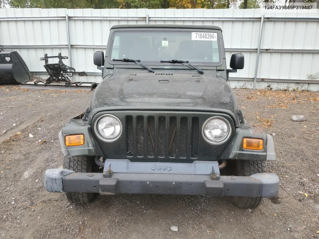 2005 Jeep Wrangler X VIN: 1J4FA39S65P319487 Lot: 71848394