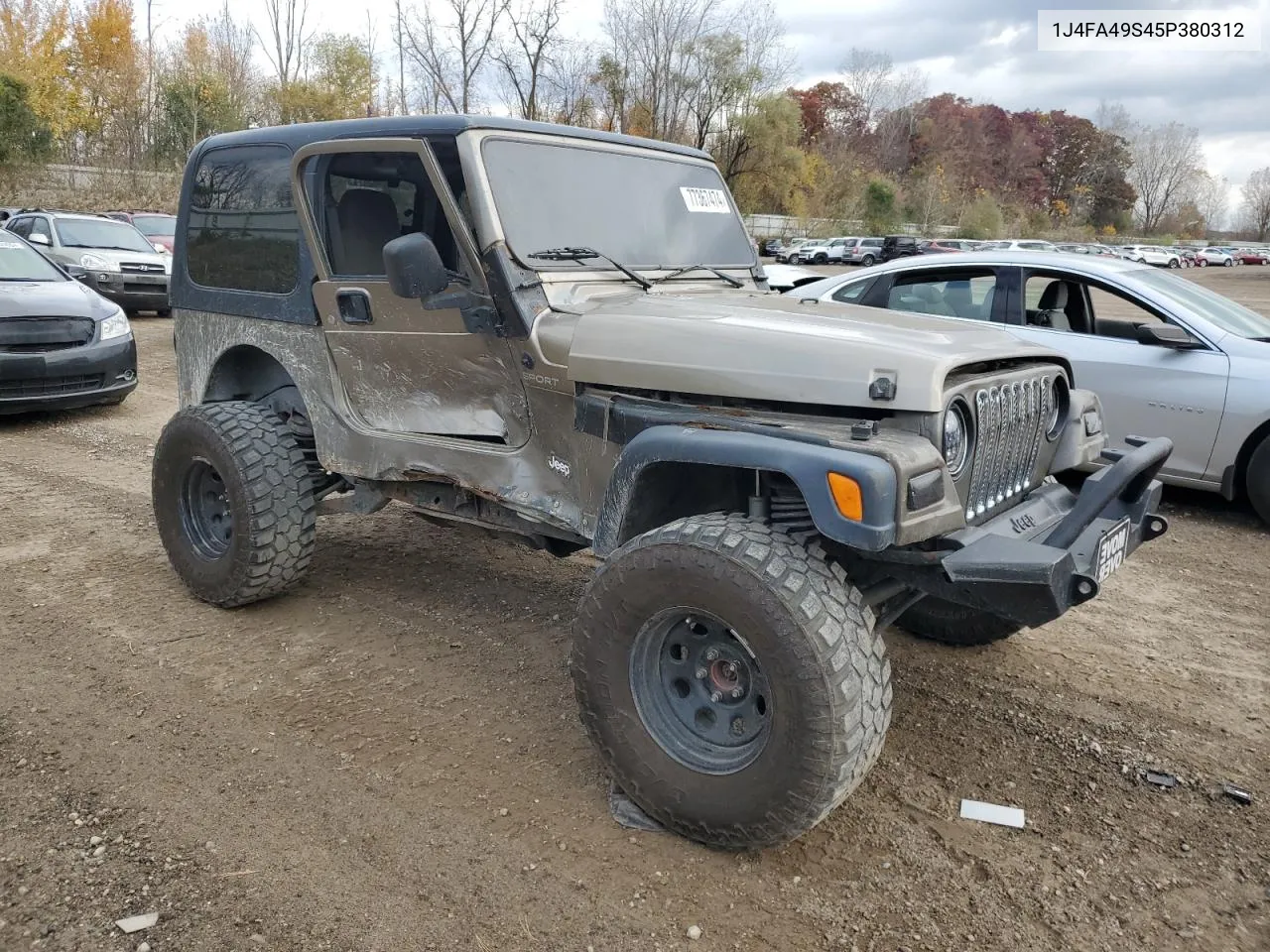 2005 Jeep Wrangler / Tj Sport VIN: 1J4FA49S45P380312 Lot: 77367474