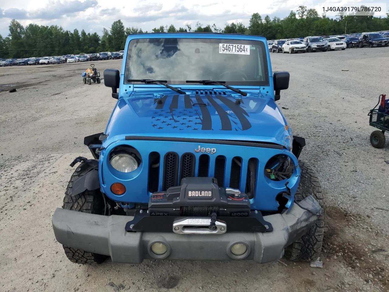 2009 Jeep Wrangler Unlimited X VIN: 1J4GA39179L786720 Lot: 54671564