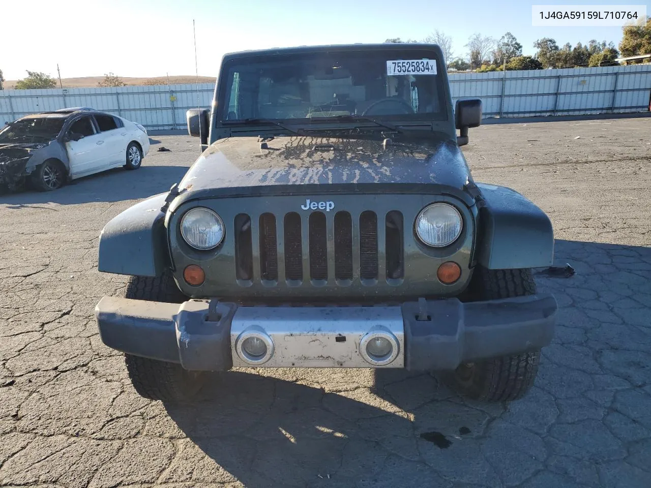 2009 Jeep Wrangler Unlimited Sahara VIN: 1J4GA59159L710764 Lot: 75525834