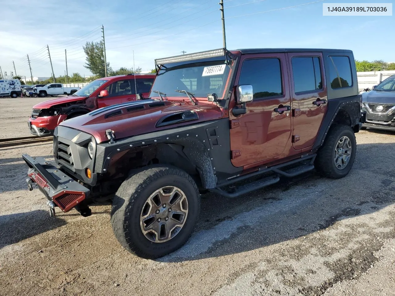 2009 Jeep Wrangler Unlimited X VIN: 1J4GA39189L703036 Lot: 75697774