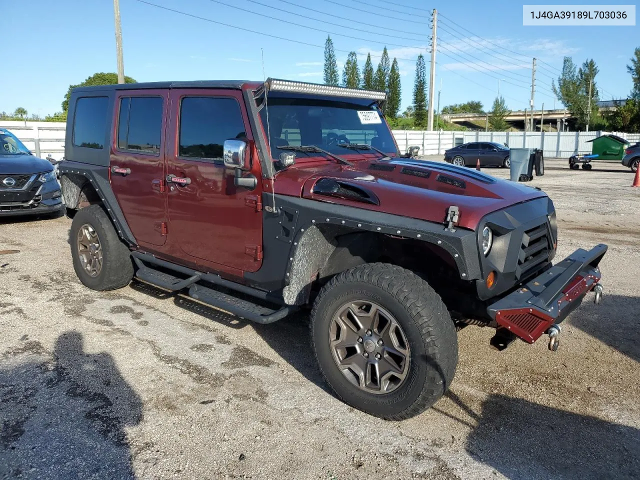 2009 Jeep Wrangler Unlimited X VIN: 1J4GA39189L703036 Lot: 75697774