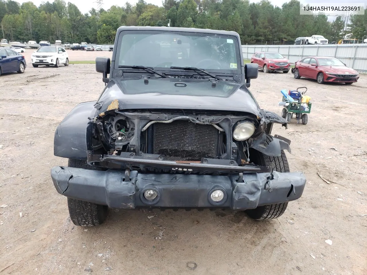 2010 Jeep Wrangler Unlimited Sahara VIN: 1J4HA5H19AL223691 Lot: 74106384