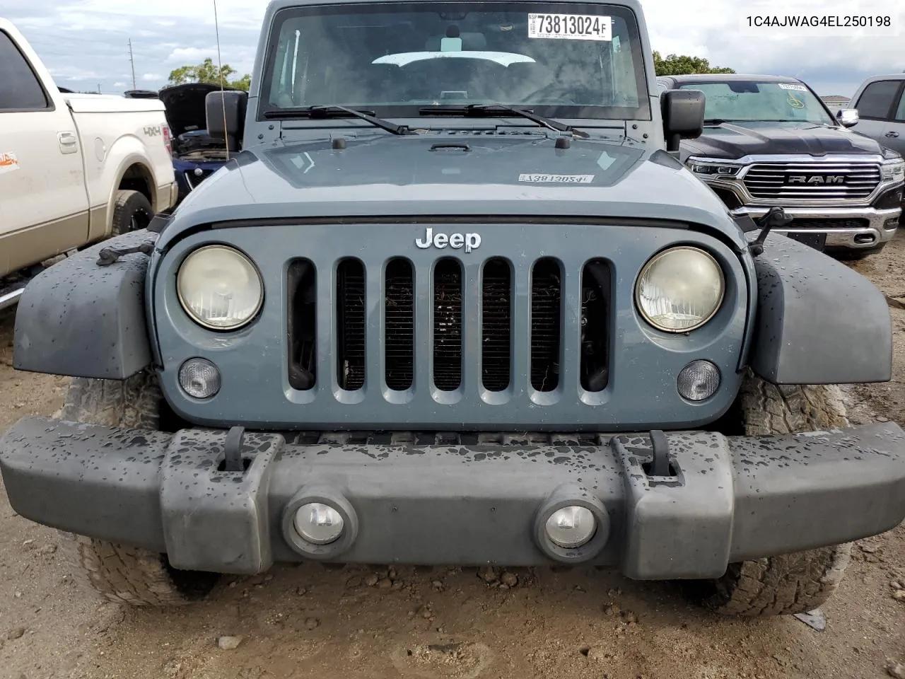 2014 Jeep Wrangler Sport VIN: 1C4AJWAG4EL250198 Lot: 73813024