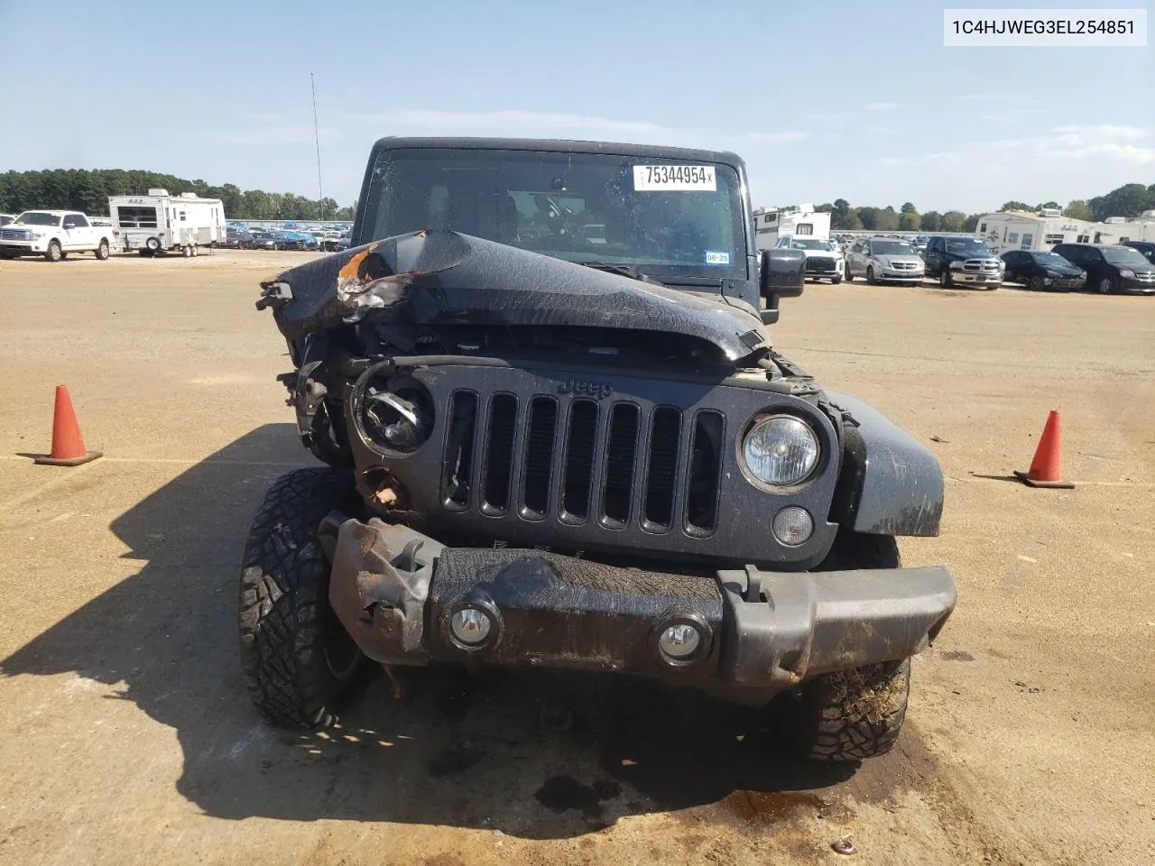 2014 Jeep Wrangler Unlimited Sahara VIN: 1C4HJWEG3EL254851 Lot: 75344954