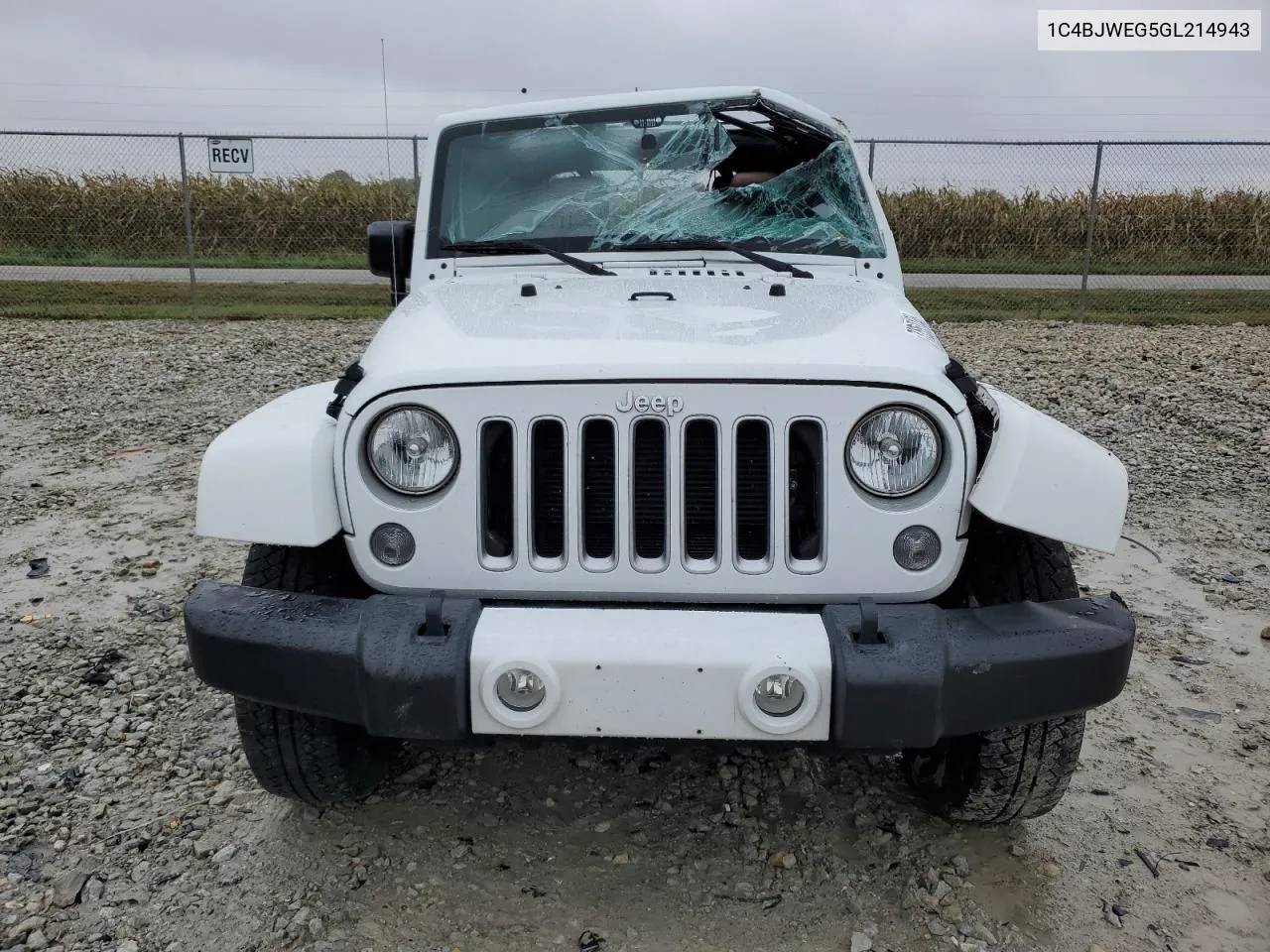 2016 Jeep Wrangler Unlimited Sahara VIN: 1C4BJWEG5GL214943 Lot: 73553134