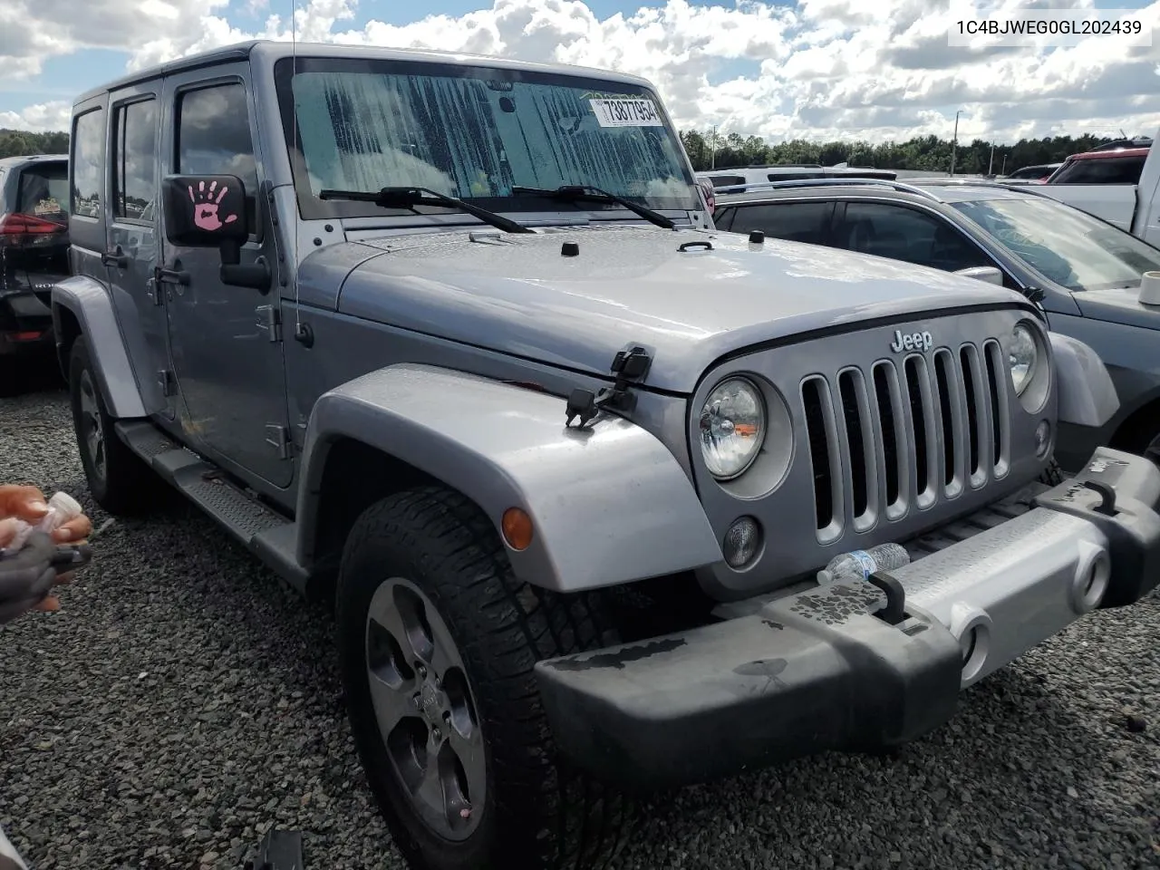 2016 Jeep Wrangler Unlimited Sahara VIN: 1C4BJWEG0GL202439 Lot: 73877954