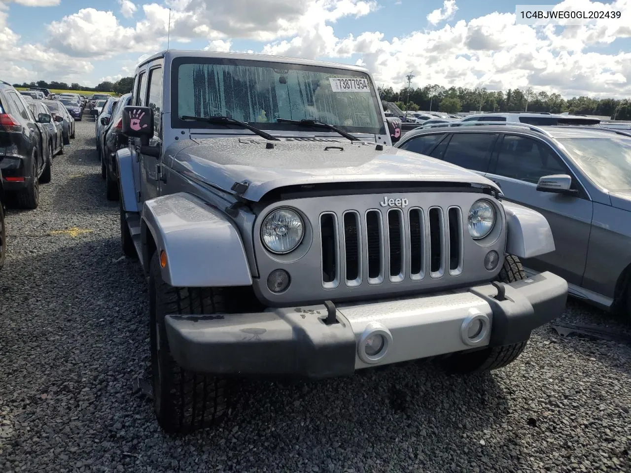 2016 Jeep Wrangler Unlimited Sahara VIN: 1C4BJWEG0GL202439 Lot: 73877954