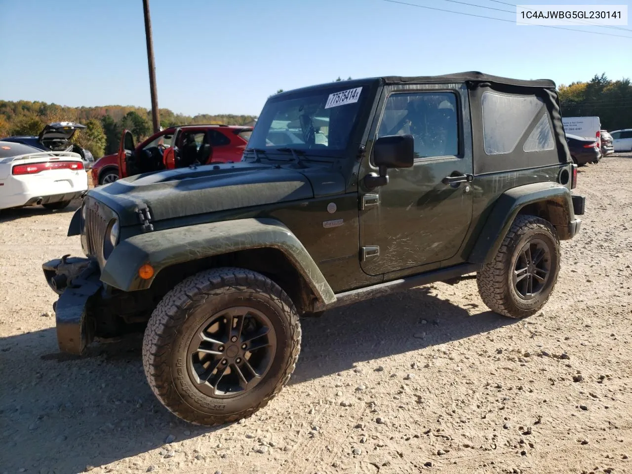 2016 Jeep Wrangler Sahara VIN: 1C4AJWBG5GL230141 Lot: 77575414