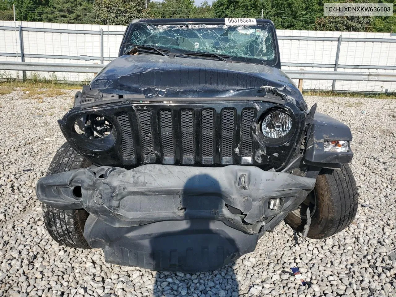 2019 Jeep Wrangler Unlimited Sport VIN: 1C4HJXDNXKW636603 Lot: 66379564