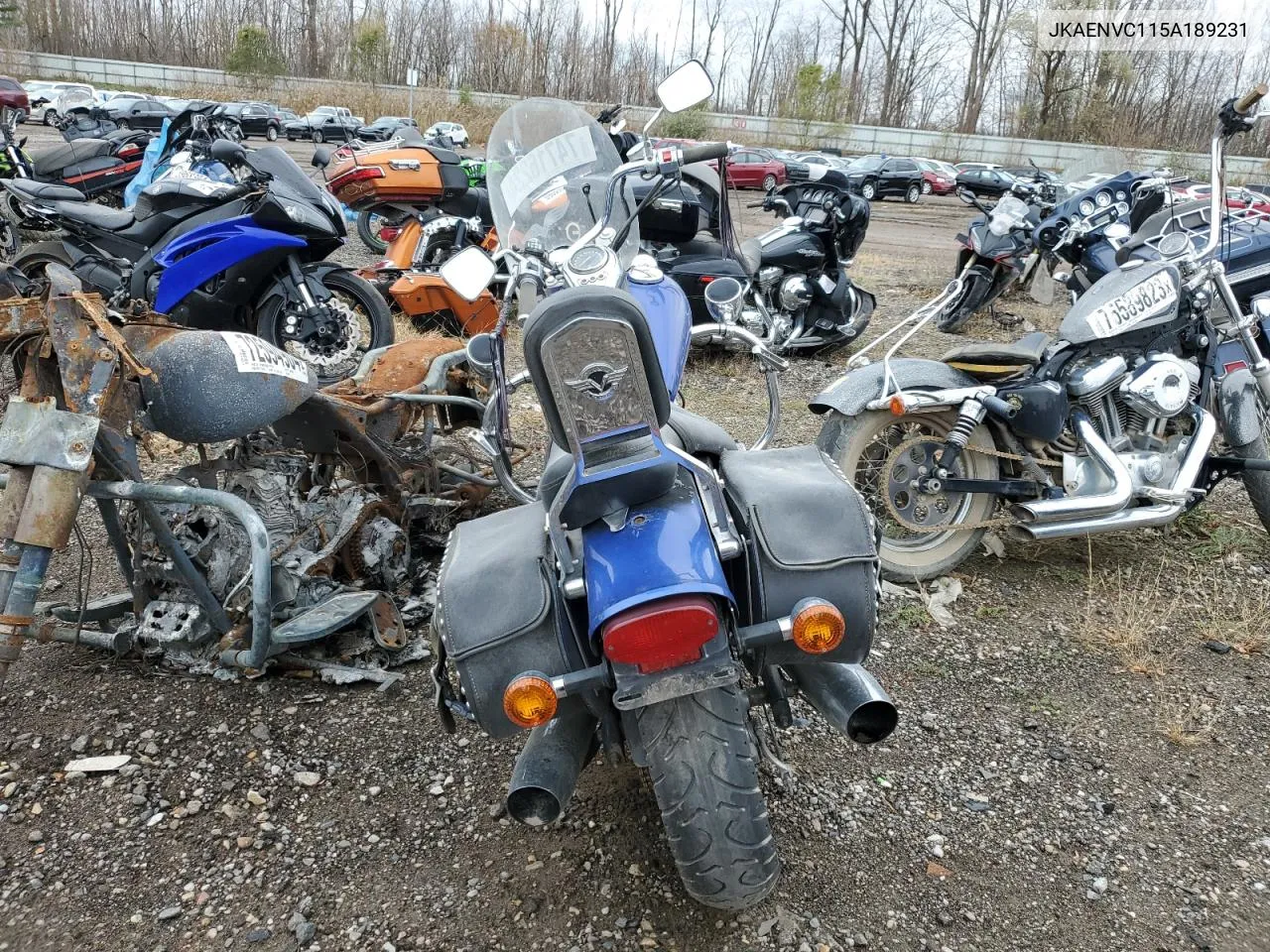 2005 Kawasaki En500 C VIN: JKAENVC115A189231 Lot: 74716224