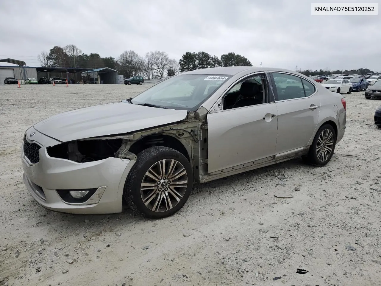 2014 Kia Cadenza Premium VIN: KNALN4D75E5120252 Lot: 44543654