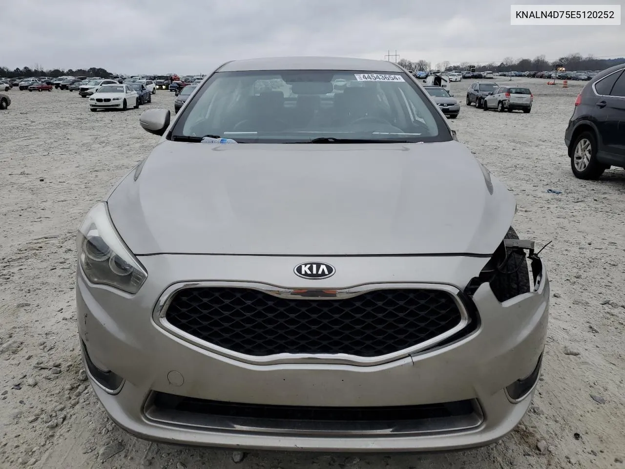 2014 Kia Cadenza Premium VIN: KNALN4D75E5120252 Lot: 44543654