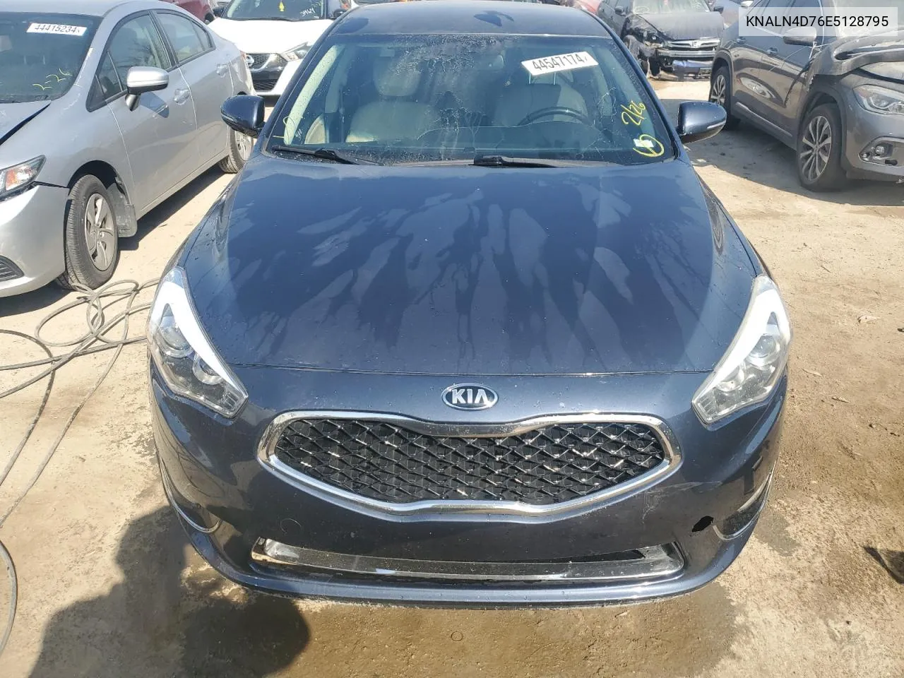 2014 Kia Cadenza Premium VIN: KNALN4D76E5128795 Lot: 44547174