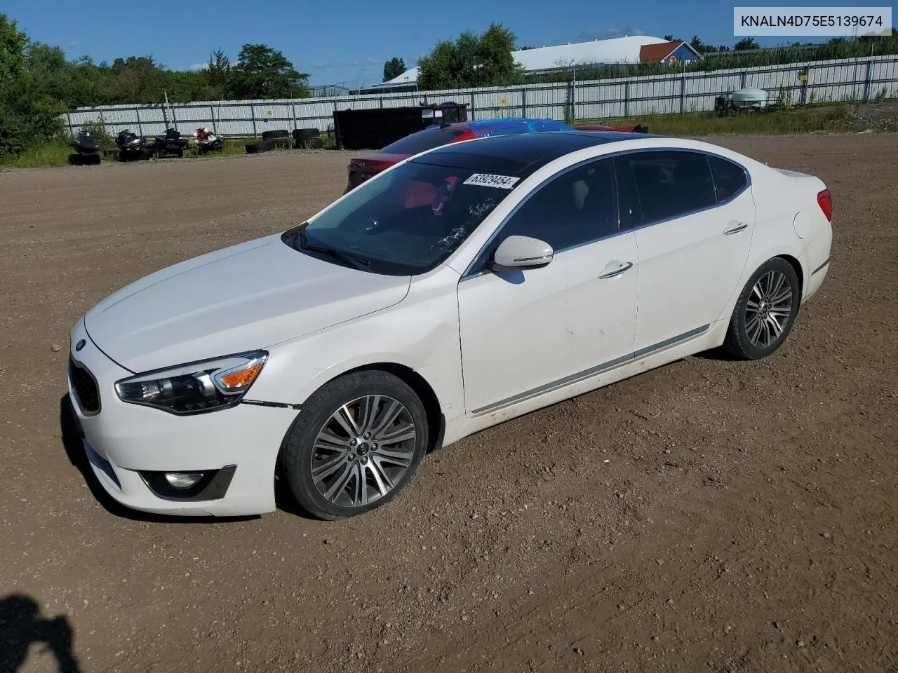 2014 Kia Cadenza Premium VIN: KNALN4D75E5139674 Lot: 63929454