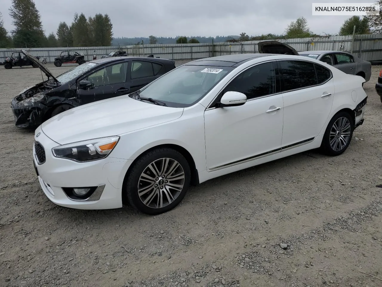 2014 Kia Cadenza Premium VIN: KNALN4D75E5162825 Lot: 71092014