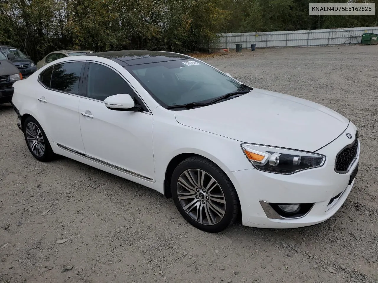 2014 Kia Cadenza Premium VIN: KNALN4D75E5162825 Lot: 71092014