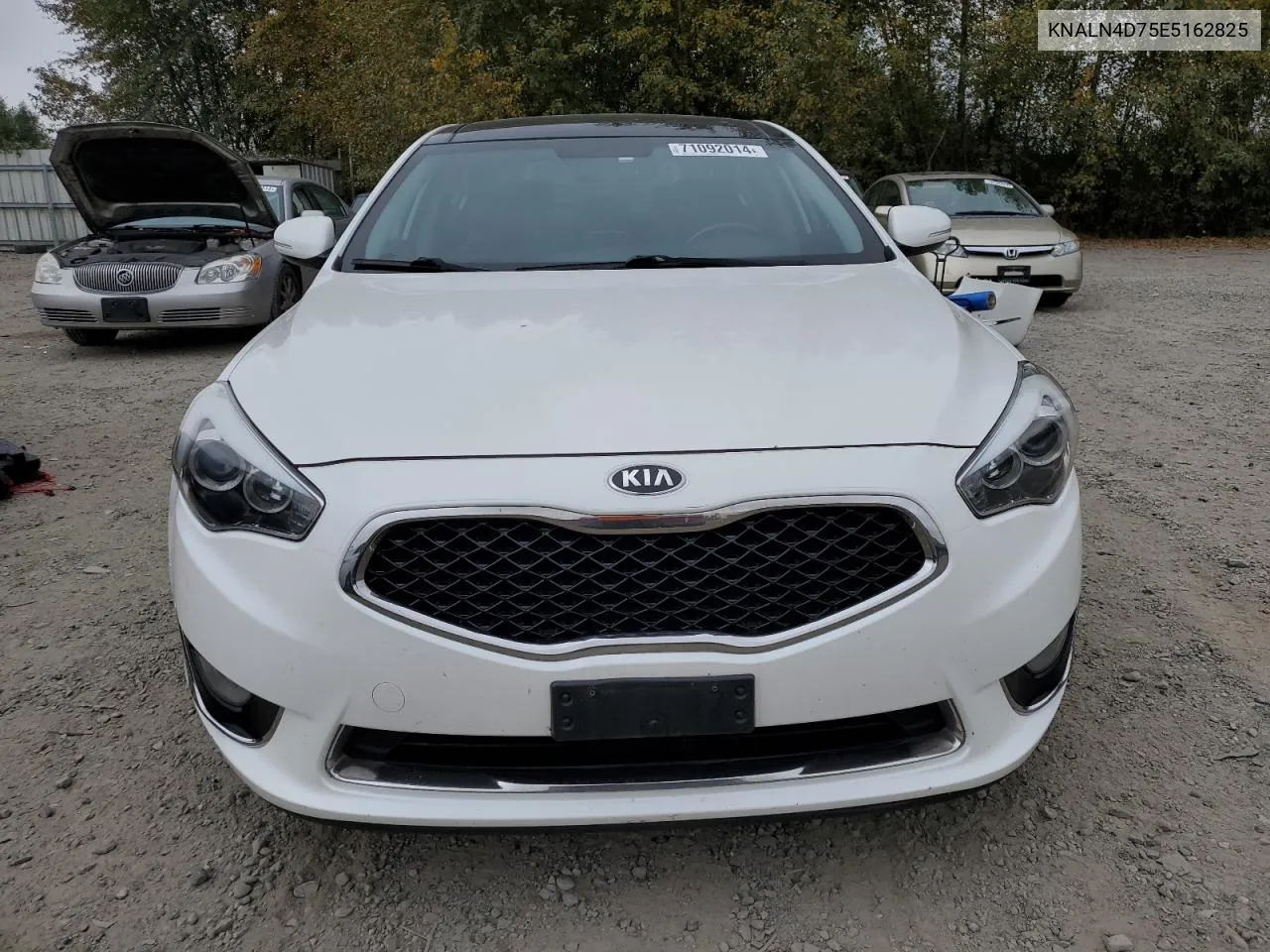 2014 Kia Cadenza Premium VIN: KNALN4D75E5162825 Lot: 71092014