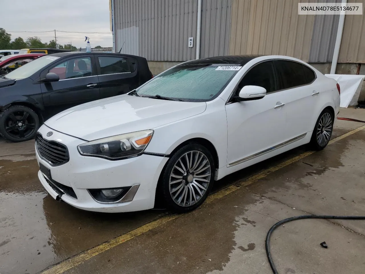 2014 Kia Cadenza Premium VIN: KNALN4D78E5134677 Lot: 71206714