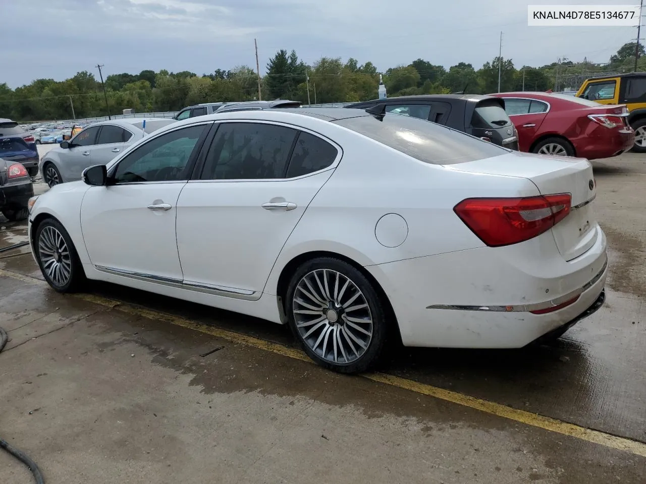 KNALN4D78E5134677 2014 Kia Cadenza Premium