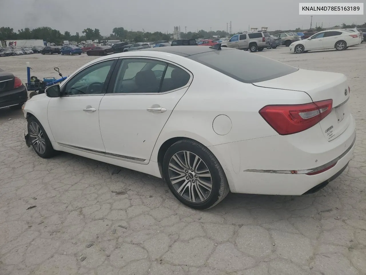 2014 Kia Cadenza Premium VIN: KNALN4D78E5163189 Lot: 71295594