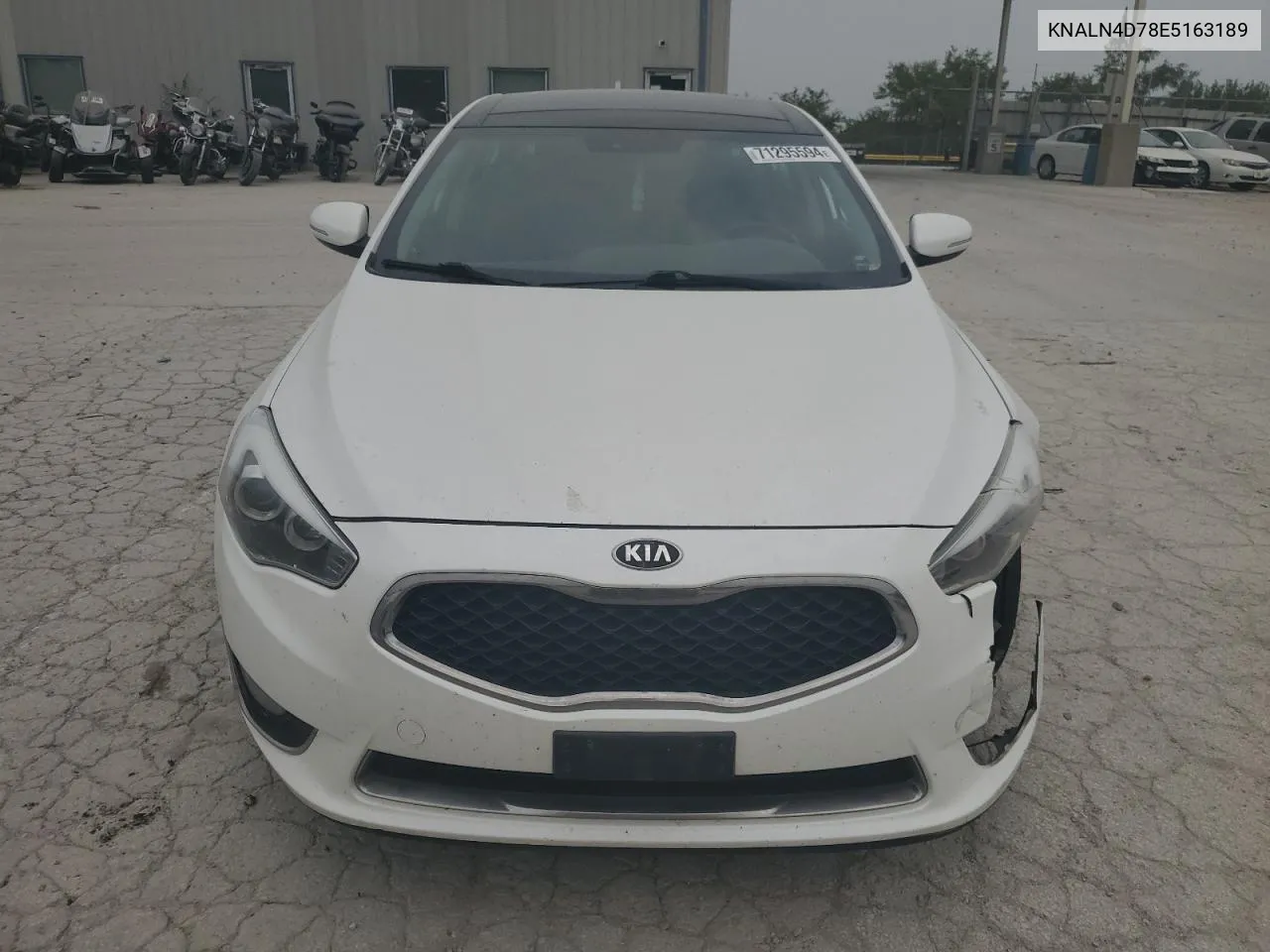 2014 Kia Cadenza Premium VIN: KNALN4D78E5163189 Lot: 71295594